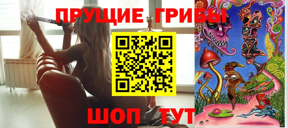 Псилоцибиновые грибы мицелий Мыски