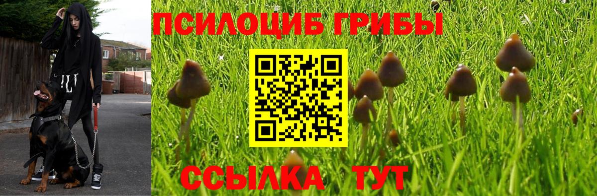 Галлюциногенные грибы GOLDEN TEACHER  Вход с VPN  Мыски 