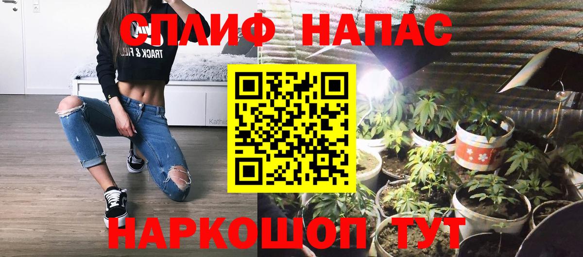 Канабис AK-47  Каннабис Ganja  Бошки Шишки план  Вход с VPN  Мыски 